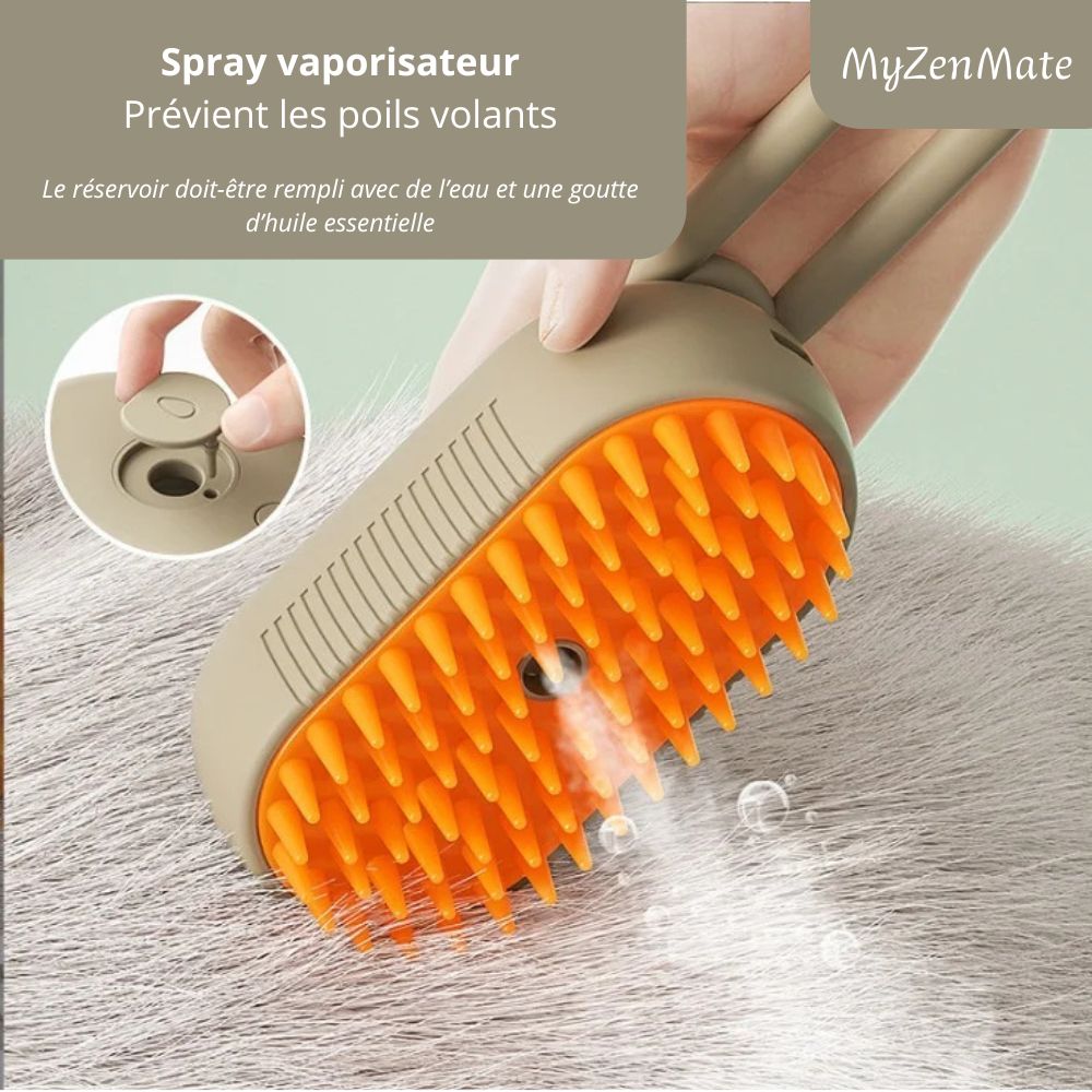 Brosse anti-poils à vapeur