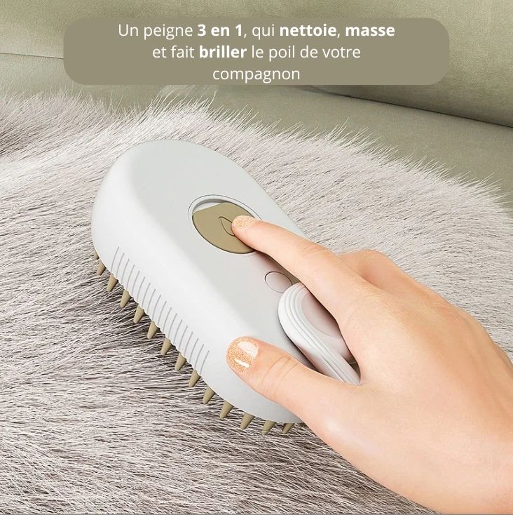 Brosse anti-poils à vapeur